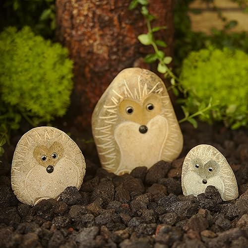 Miniatura 7 de Paquete familiar pequeño de 3 erizos de pie