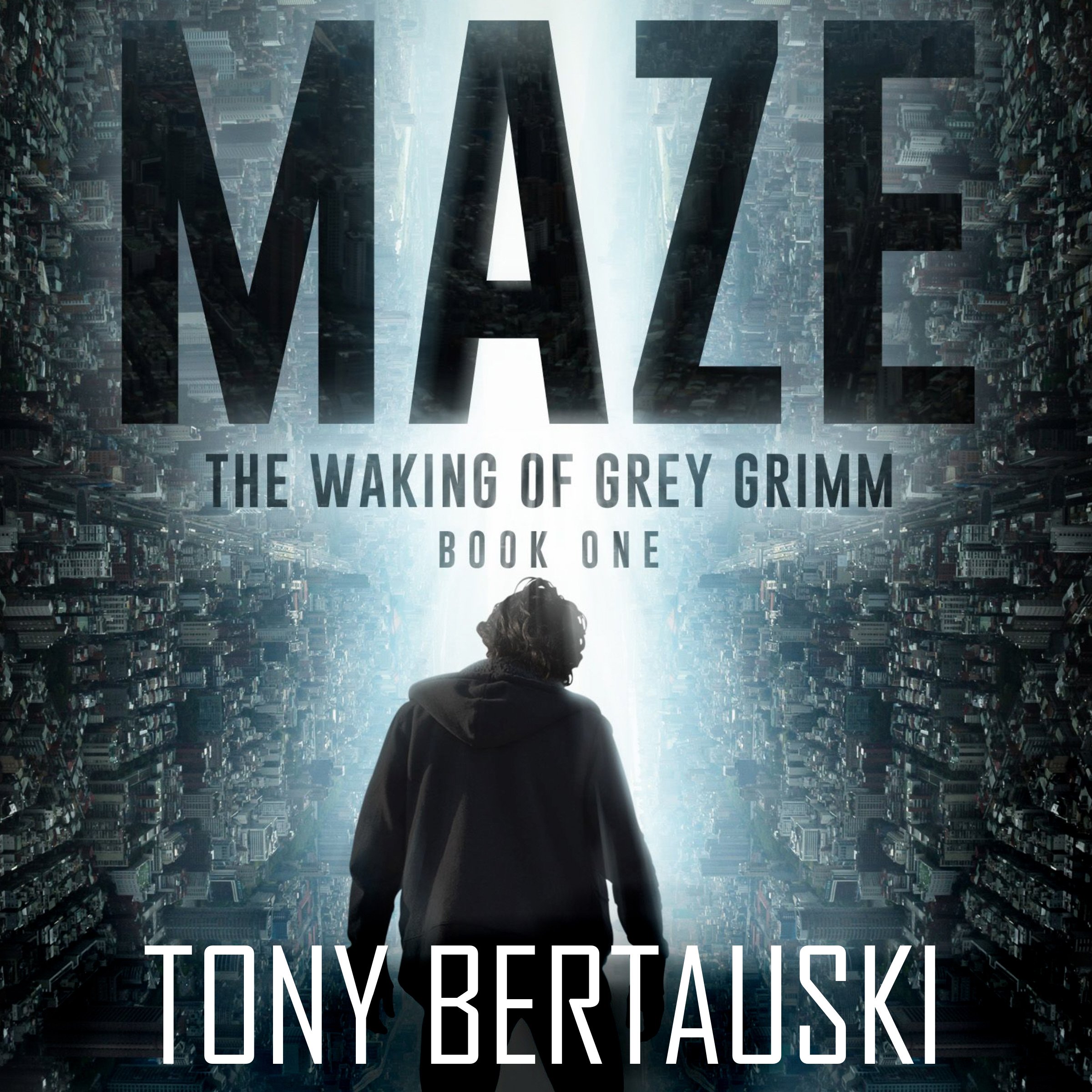 Cover art for Maze: The Waking of Grey Grimm