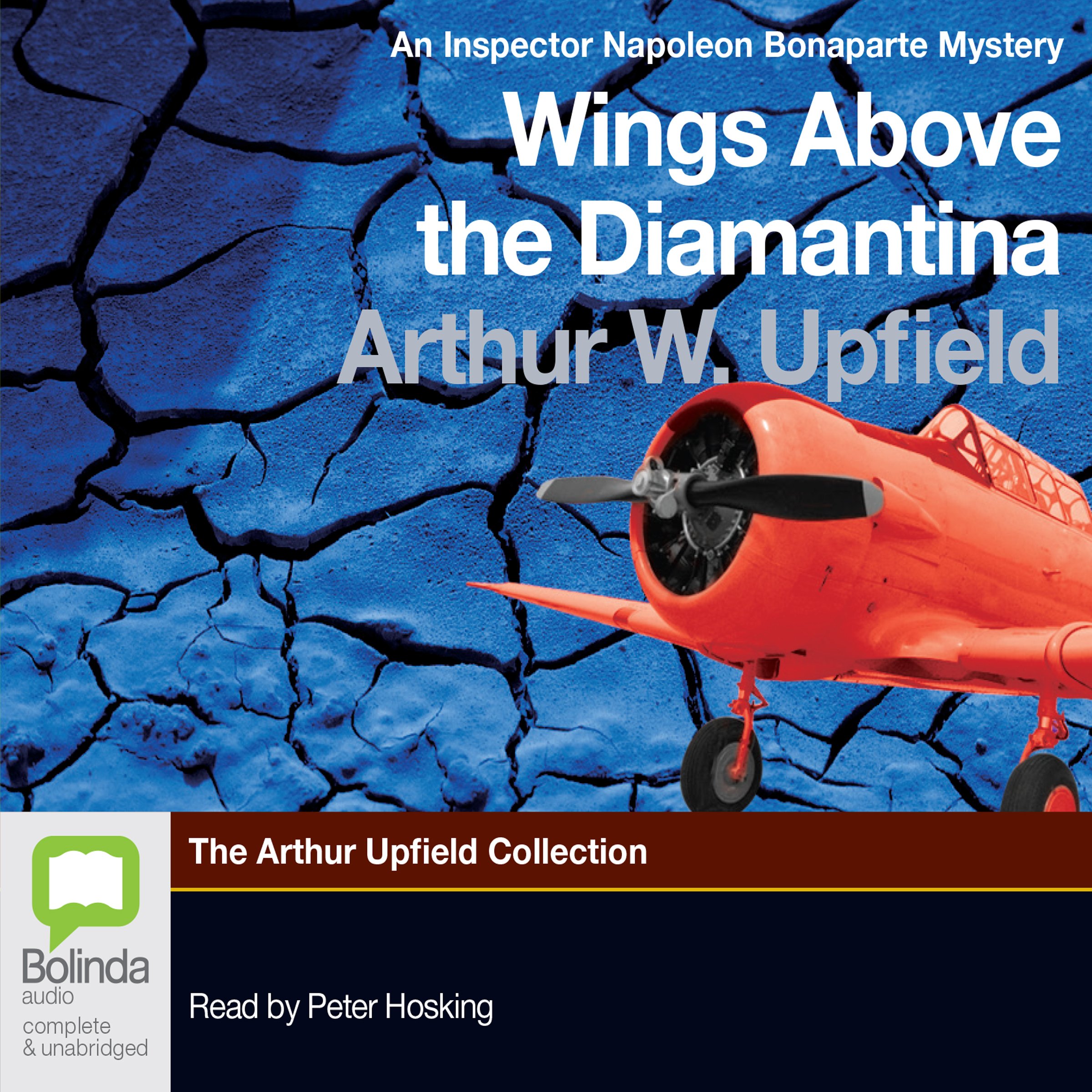 Cover art for Wings Above the Diamantina