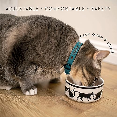 Miniatura 7 de Collar personalizado para perro, collares de identificación de cuero suave personalizados con icono, nombre y número de teléfono, color rosa, diseño