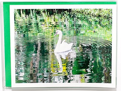 Miniatura 2 de Tarjetas de notas suaves para fotografía de pájaros, 16 con 18 sobres de colores, juego en caja (4.25 x 5.50 pulgadas) en blanco en el interior,