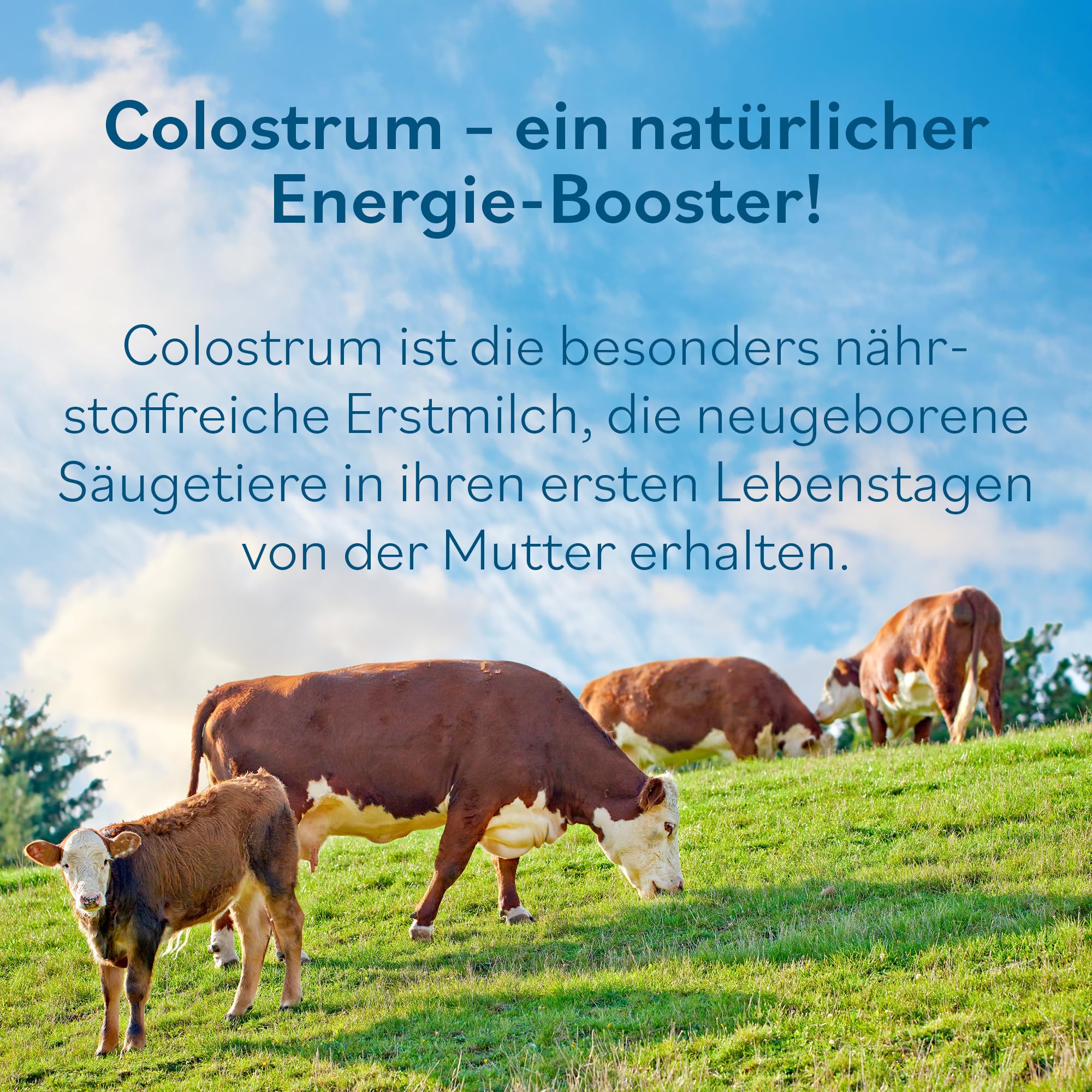 JAB Colostrum - Colostralmilch in Apothekenqualität - 120 Kapseln