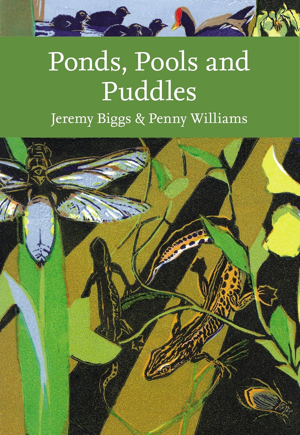 Ponds, Pools and Puddles (Collins New Naturalist Library): Biggs ...