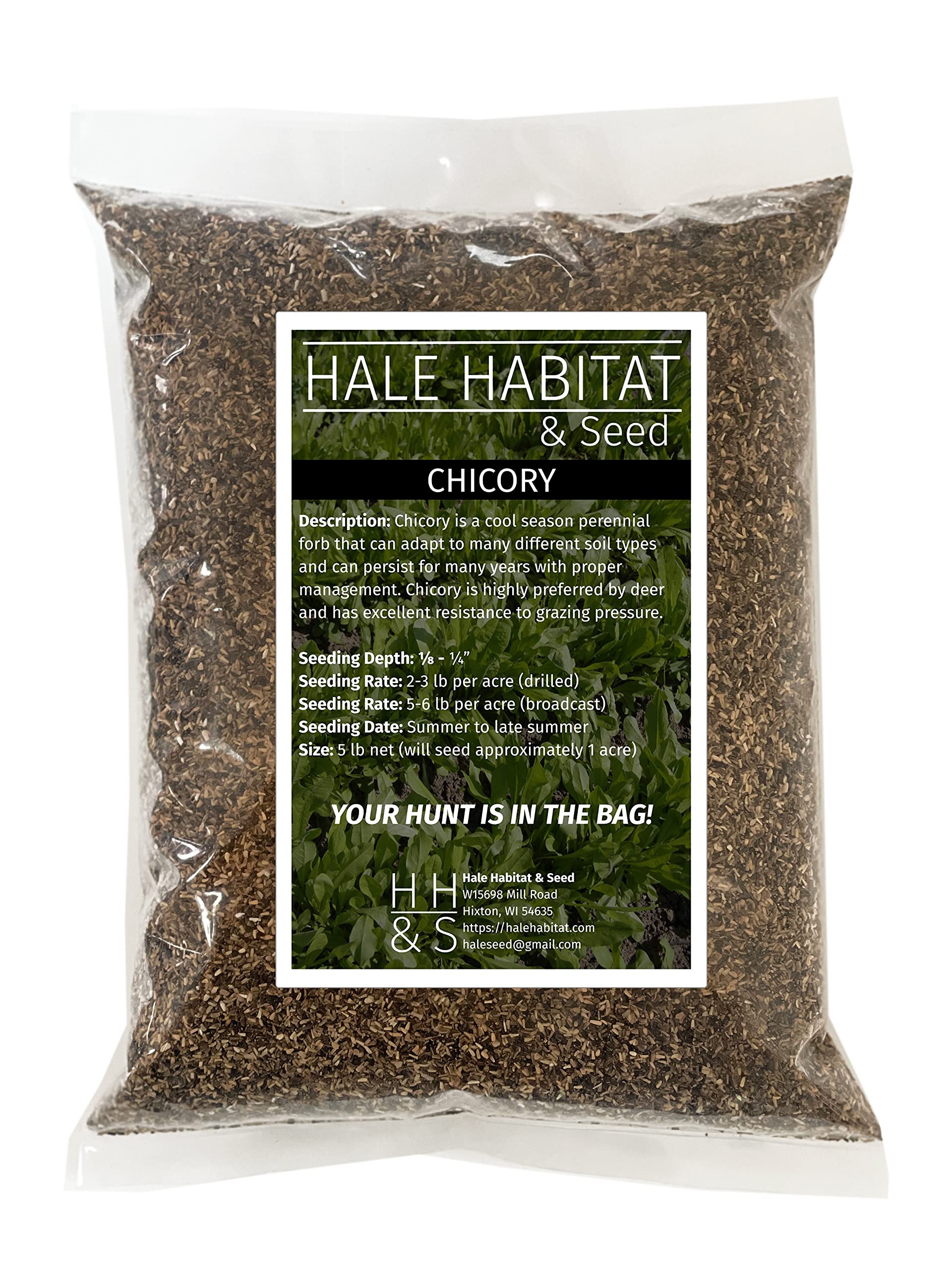 Hale Habitat & Seed Chicory Food Plot Seed, 5 lbs