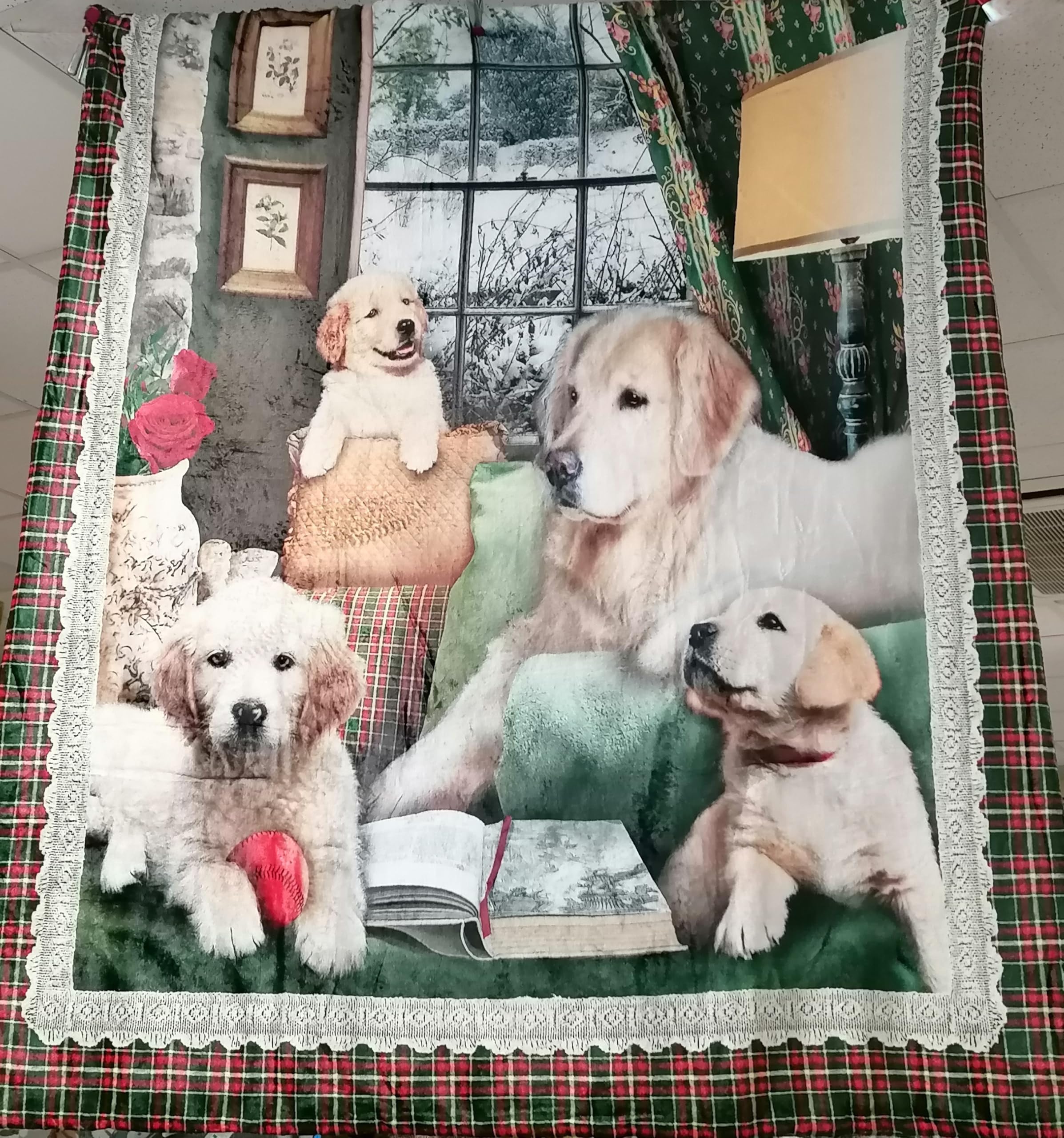 Carino Corgi Face Love Pattern Coperta in pile per divano, divano o letto, accoglienti coperte morbide