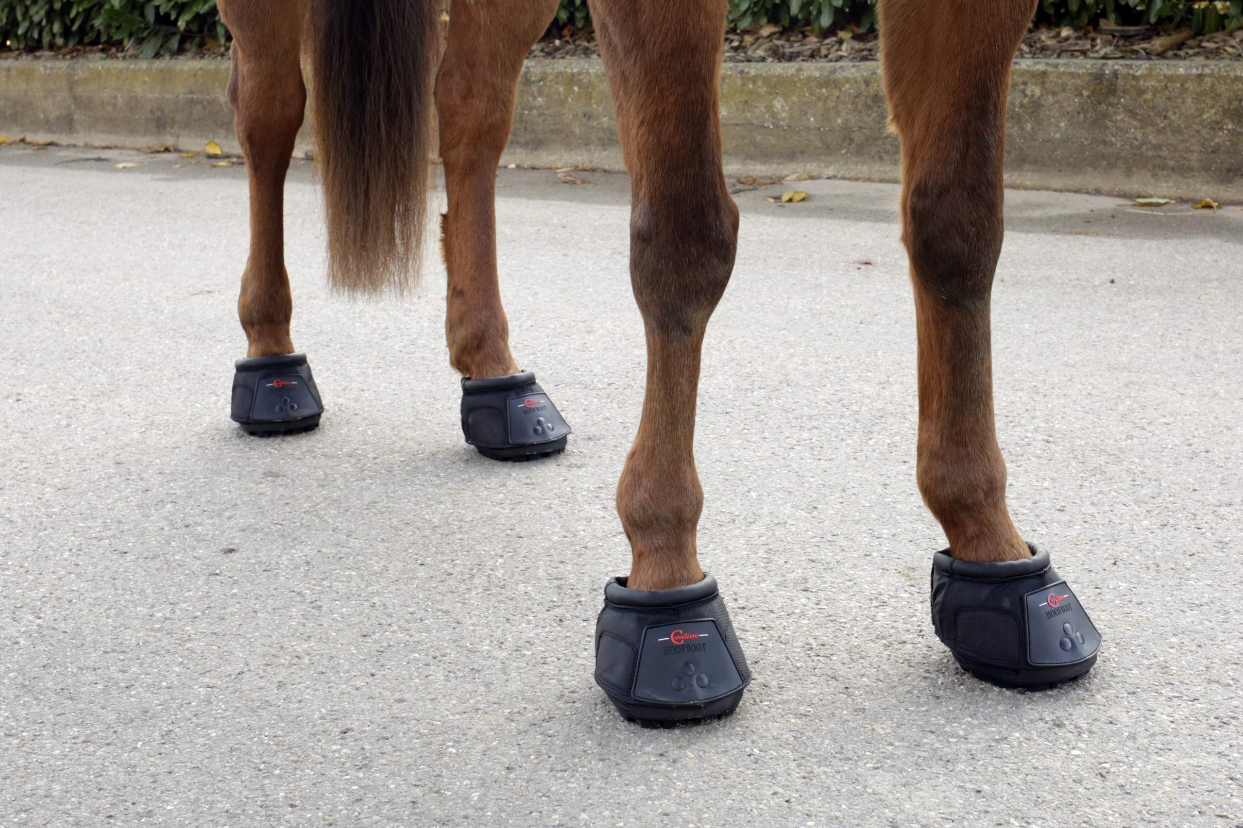 Covalliero 3222174 Hufschuh Gr. 6