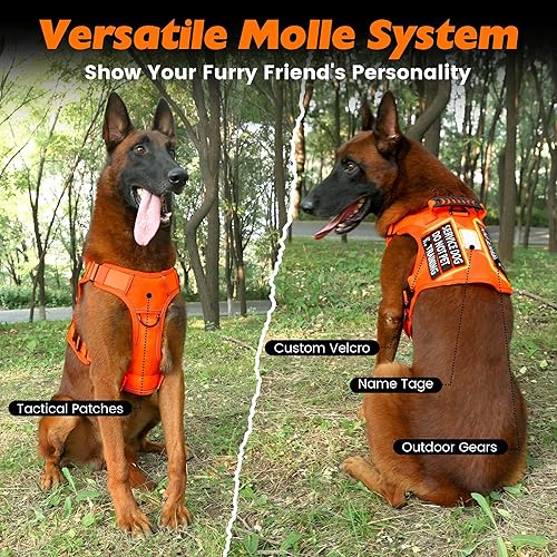 Miniatura 5 de Arnés táctico para perro, 2 correas ligeras con hebilla de metal resistente para perros medianos y extragrandes con 6 parches para perros, arnés