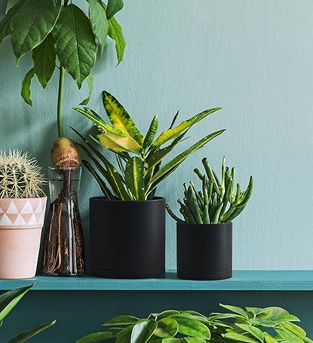 Miniatura 46 de D'vine Dev Paquete de 4 macetas de plástico modernas de 4 pulgadas, pequeñas macetas de jardín para plantas con agujeros de drenaje y platillos