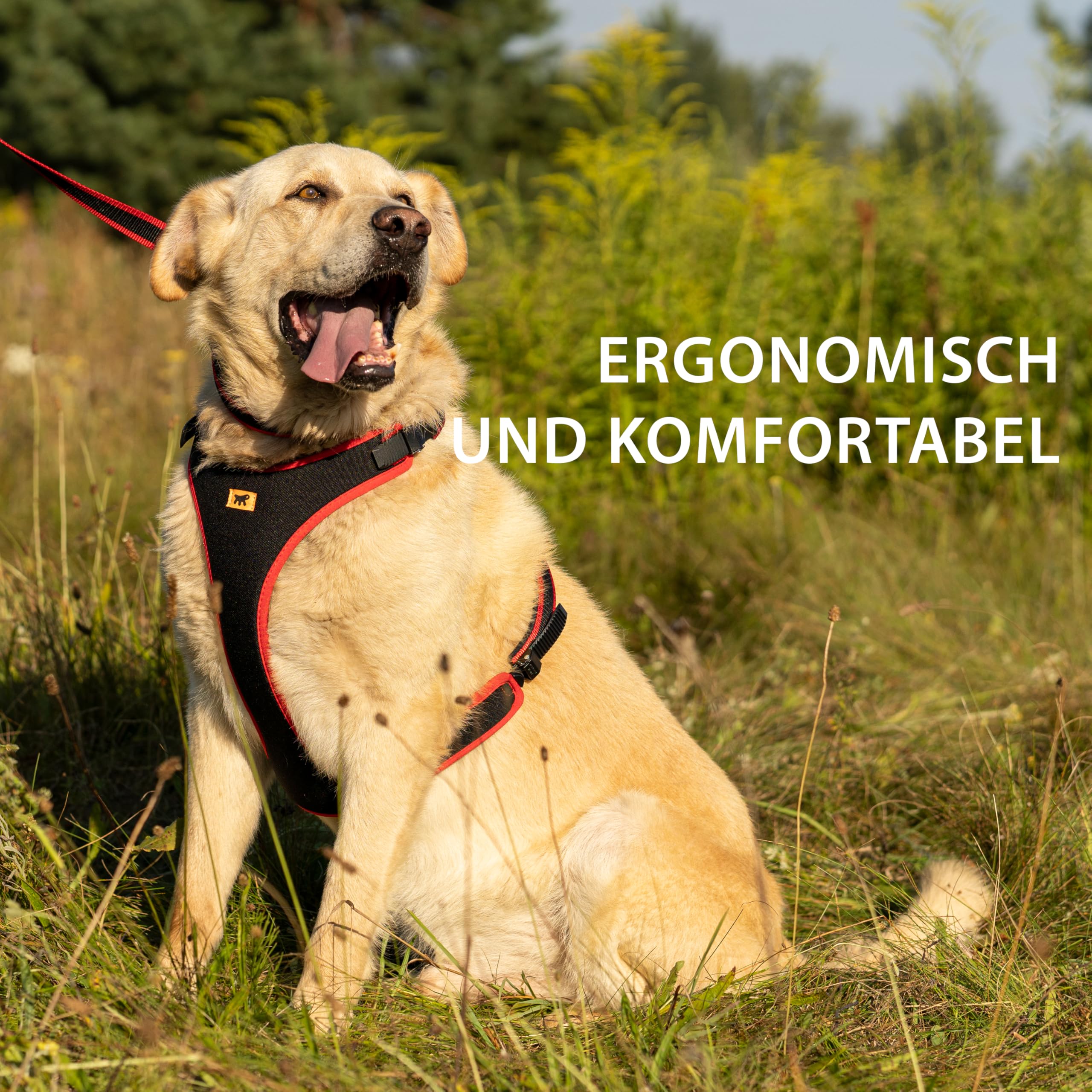 Ferplast Hundegeschirr für große Hunde ERGOCOMFORT, verstellbar, komfortabel, gepolstert, mit Schnellverschluss, Größe L, max. 40 kg. Rot