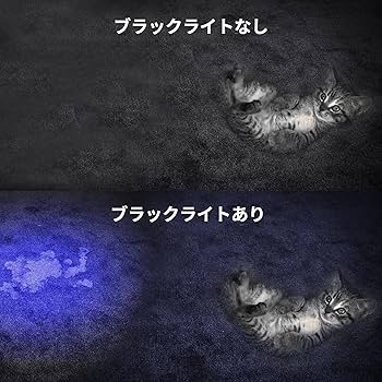 イワタデンキ　ルミエール　ブラック　ライトブルー 三共電気株式会社 | ブラックライトブルーランプ