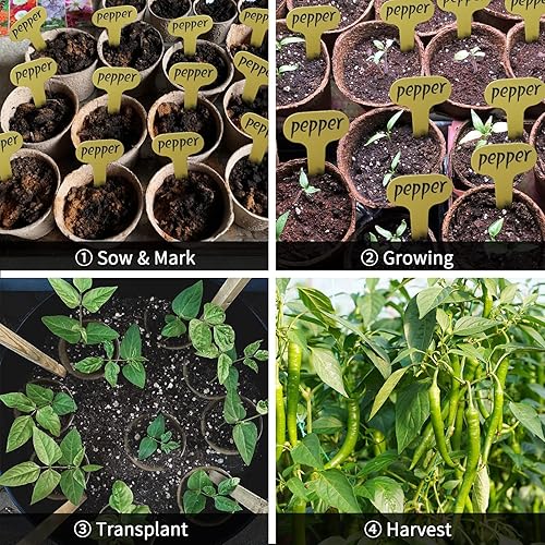 Miniatura 4 de Paquete de 100 macetas de semillas de 3 pulgadas para plantar, macetas de turba de iniciación de semillas, macetas de semillas biodegradables,