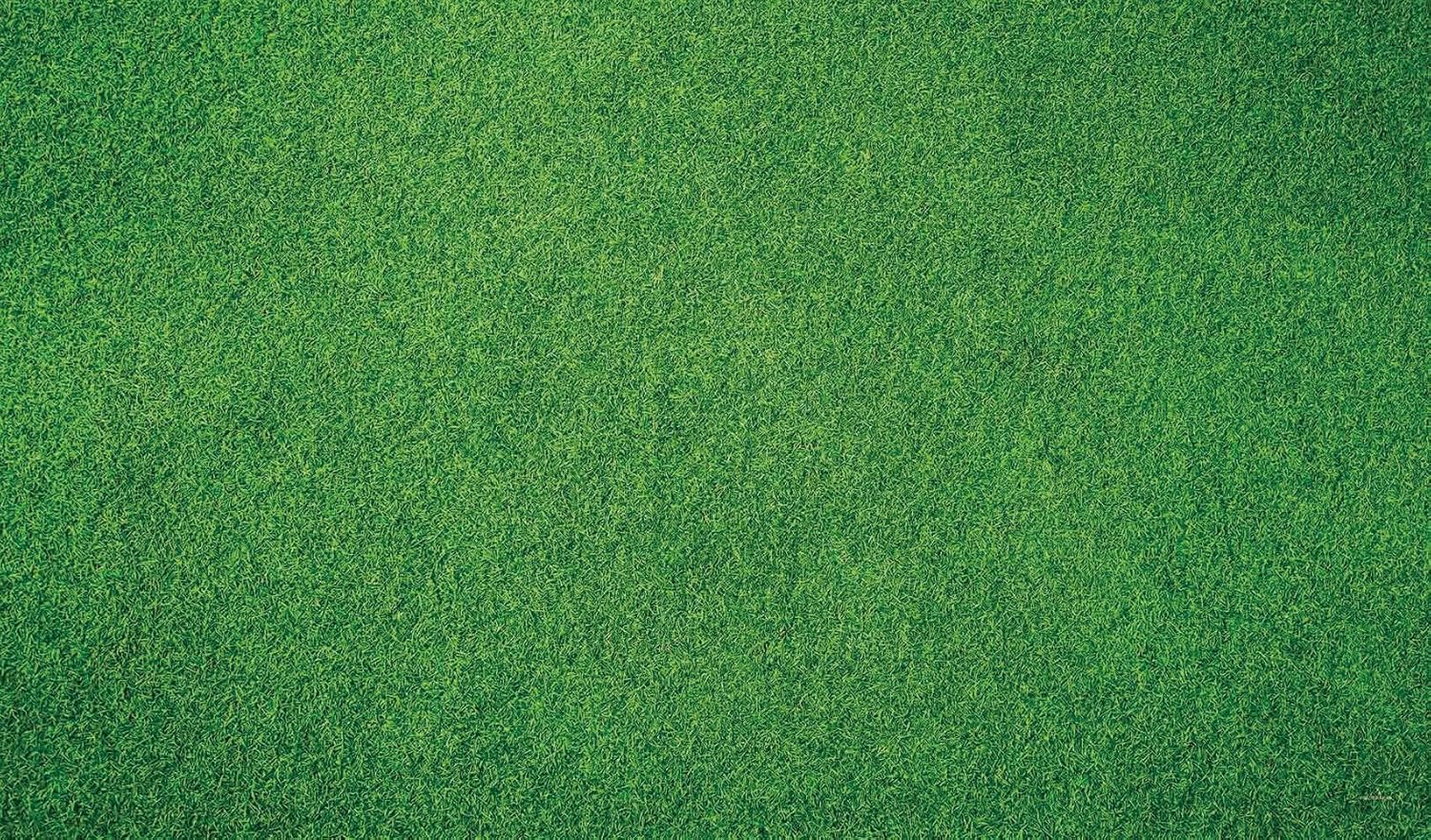 Kate Photography Floor Mats Green Grassland Floor Backdrop Wall Rubber Mat Newborn Photography Props for Professional Photo Shoot Studio 8x5ft 8x5ft Green Grass