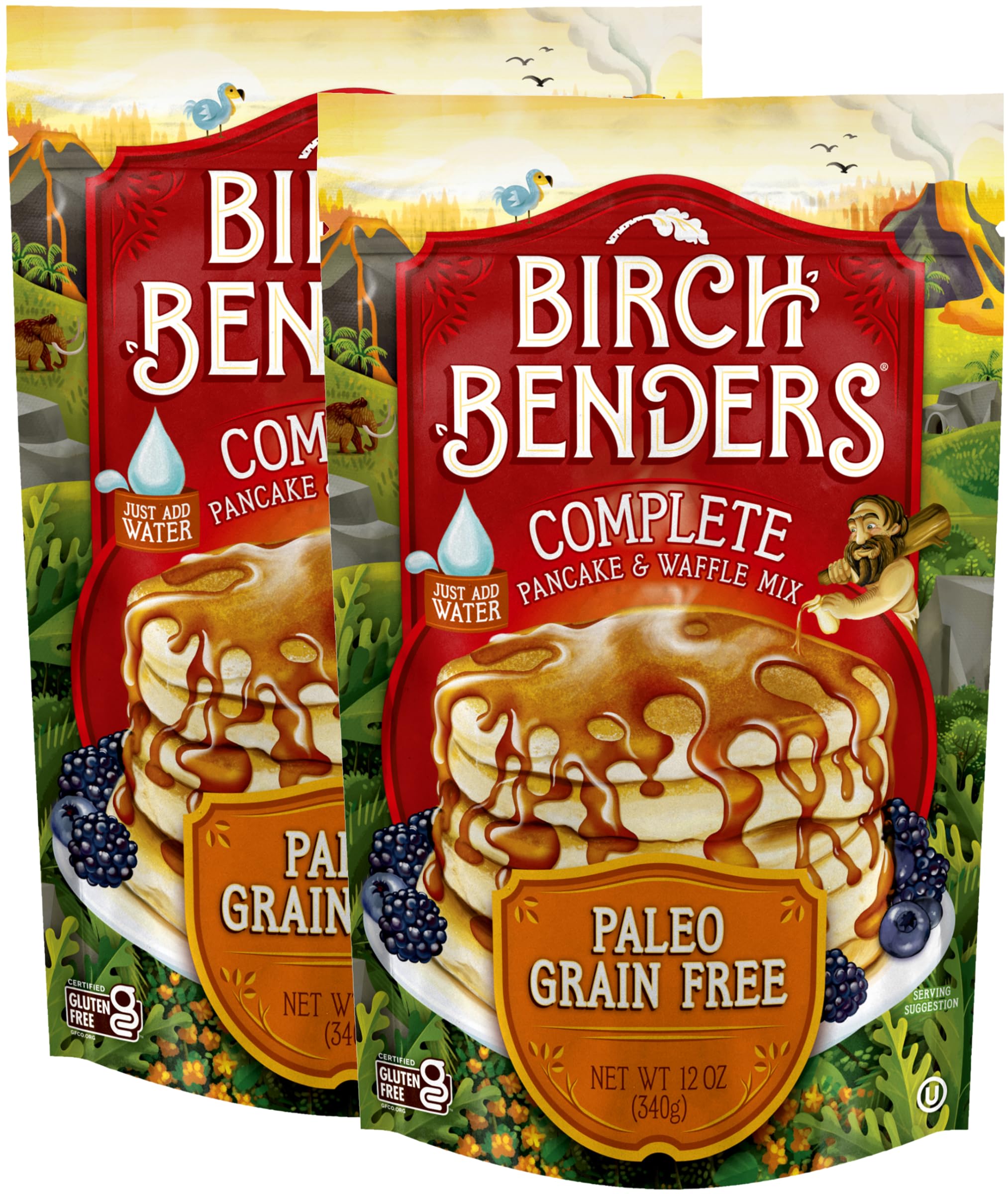 Birch Benders Paleo Pancake and Waffle Mix, 12 oz (Pack of 2)
