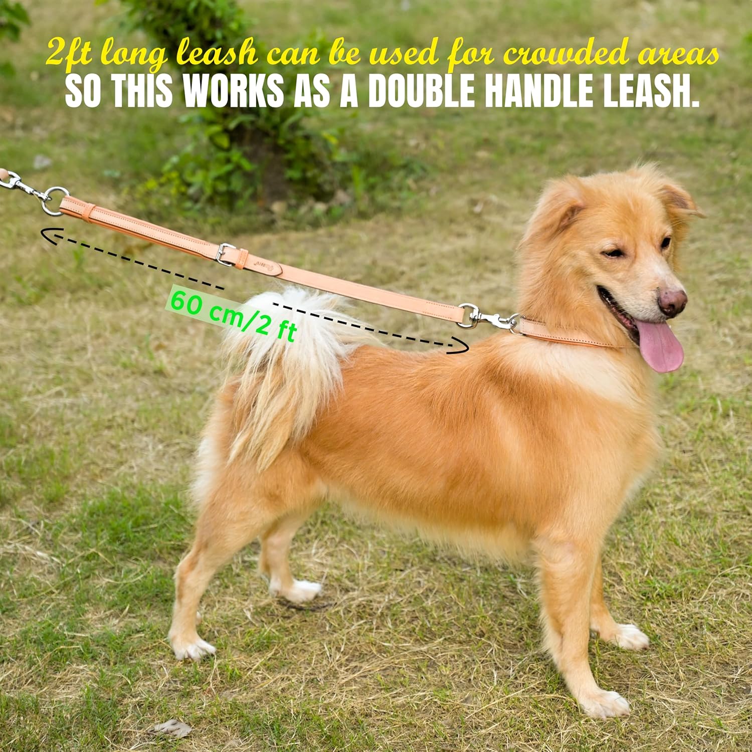 Leather Dog Leash Training Leash | Strong Durable Leather Dog Leash | Leashes for Large Dogs | Soft and Comfortable Dog Leashes for Medium and Large Dogs (Color - Sand Pearl/Peach) 3/4" X 6ft.