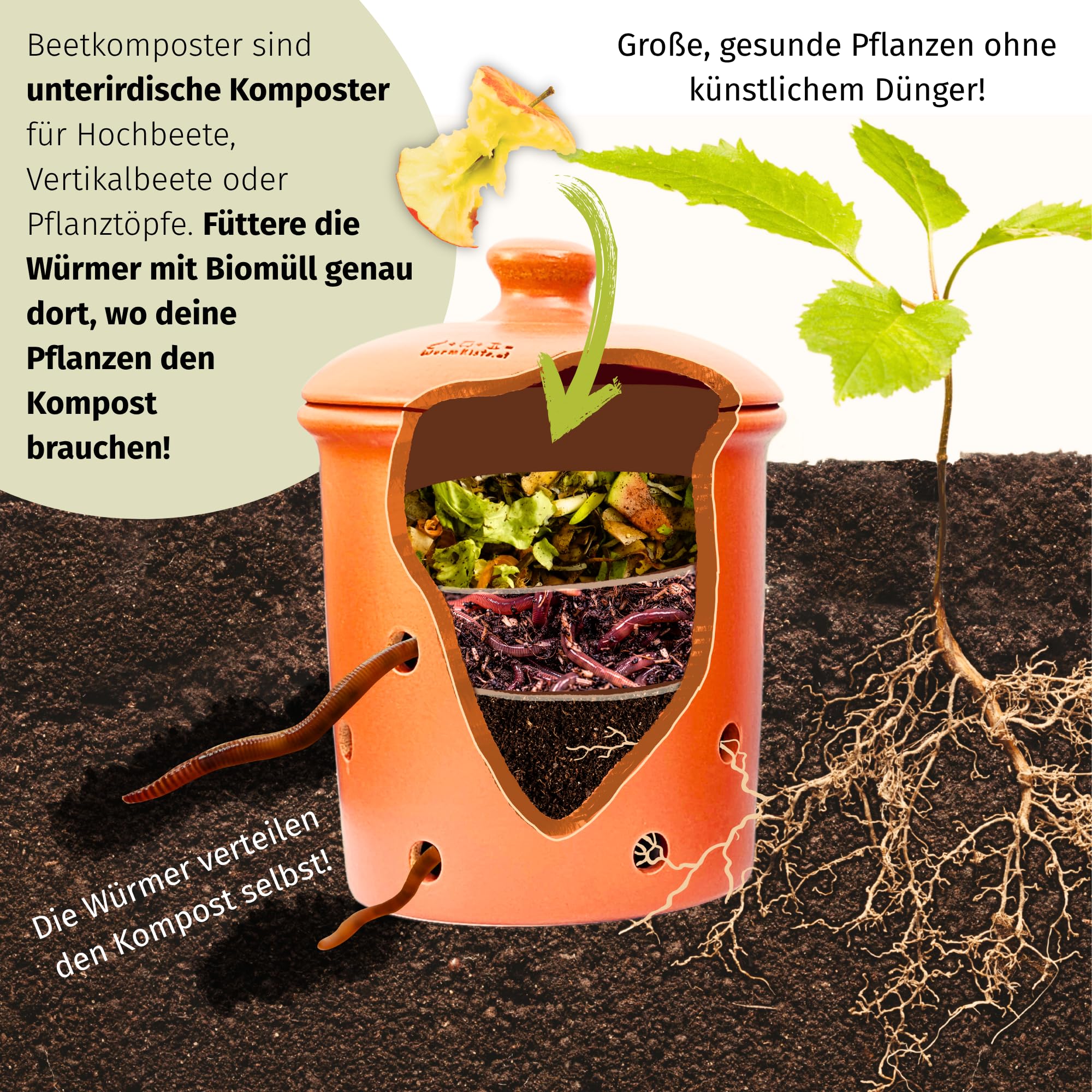 5L Wurmvase aus Ton | Beetkomposter Starterset inkl. 250 Kompostwürmer