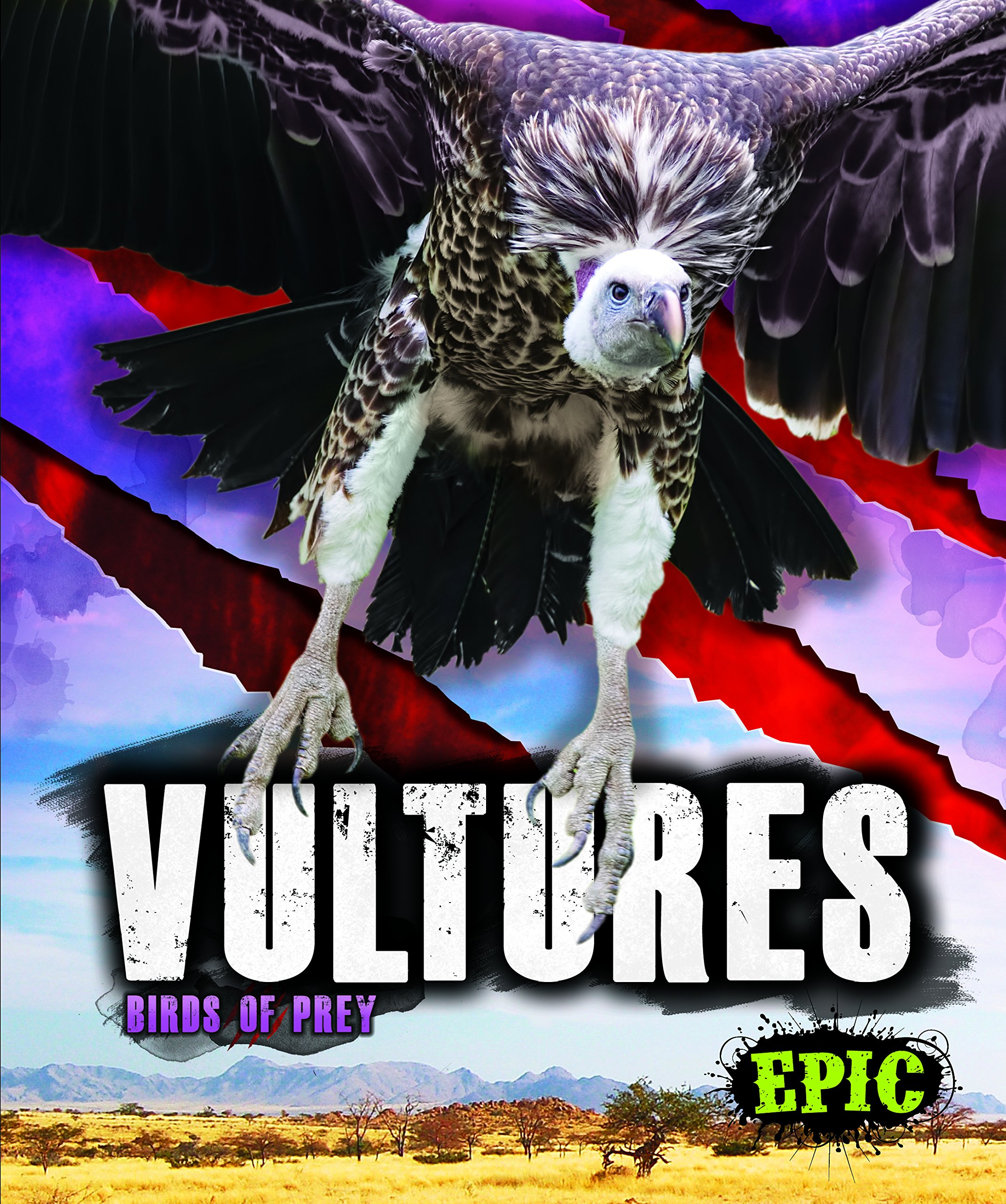 Vultures (Birds of Prey)
