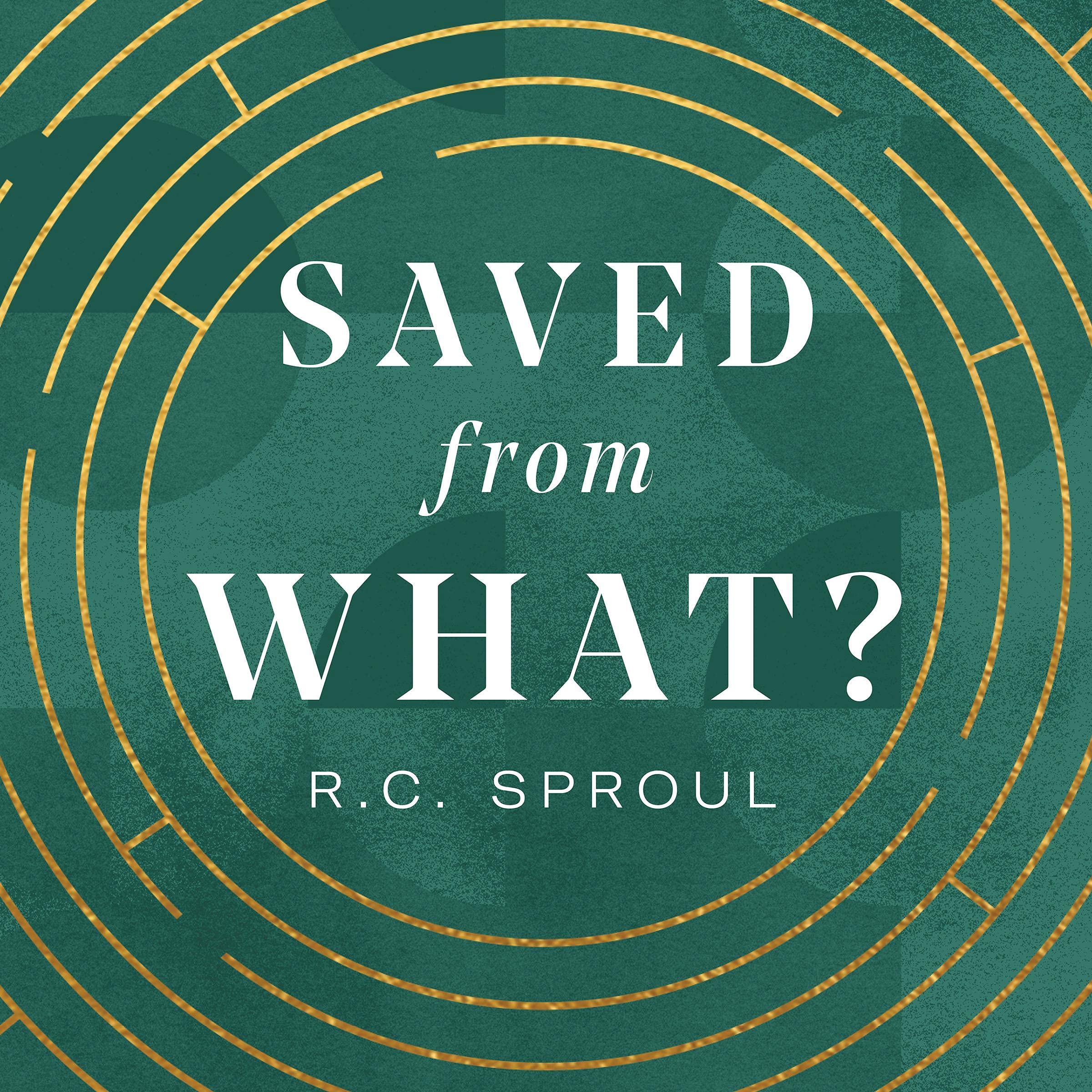 Cover art for Saved from What?