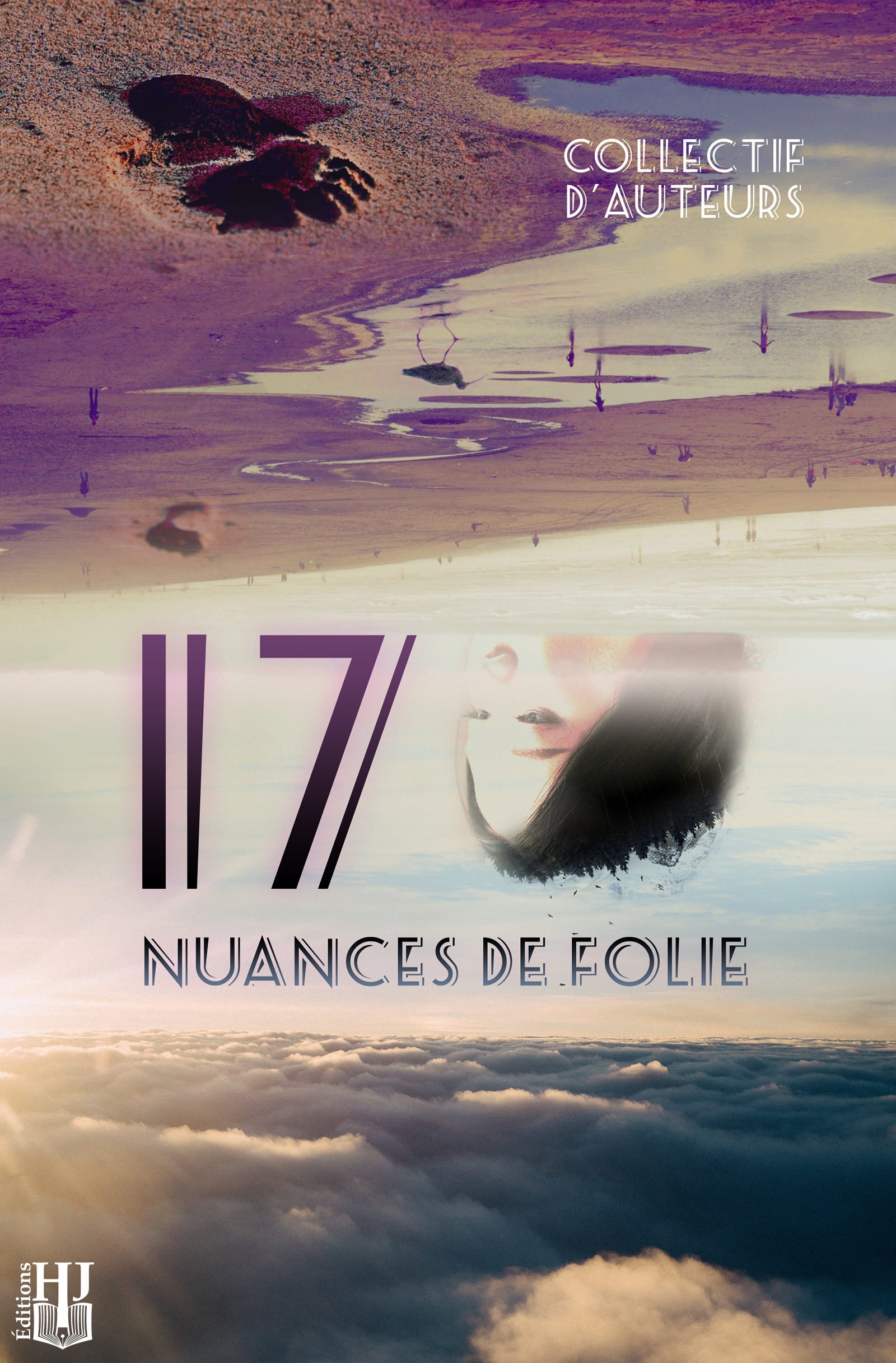 17 nuances de folie (French Edition)