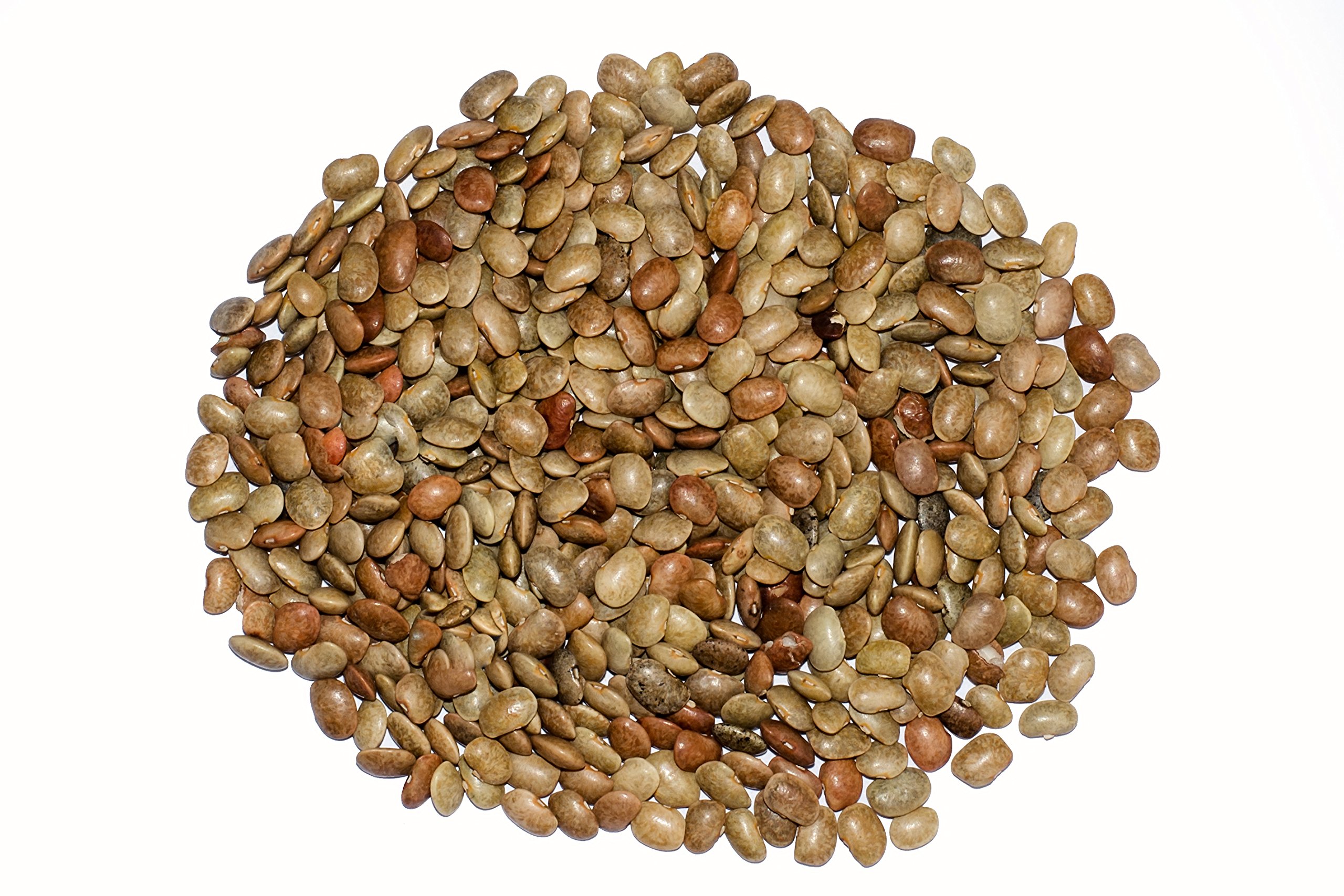 See full amazon price history chart for Veganic Kulthi Dal | Brown Horsegram | Kollu | Vulavalu | Kurthi Dal | Hurali Kalu | Kulthi Beans | Pulse | कुल्थी दाल (200) Veganic Kulthi Dal | Brown Horsegram | Kollu | Vulavalu | Kurthi Dal | Hurali Kalu | Kulthi Beans | Pulse | कुल्थी दाल (200) (B0C693VH3Z) Amazon Price History, Amazon Price Tracker