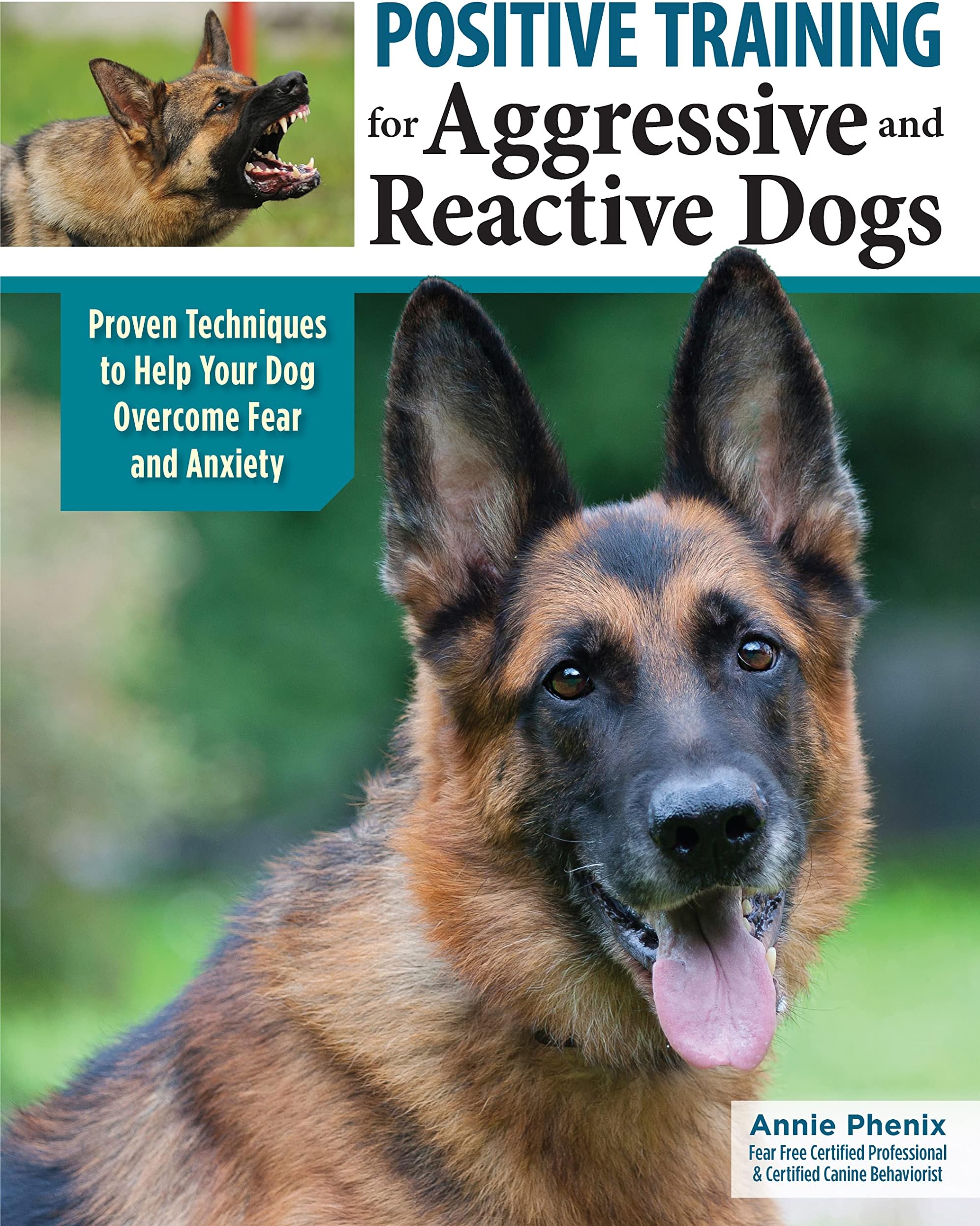 Positive Training for Aggressive and Reactive Dogs