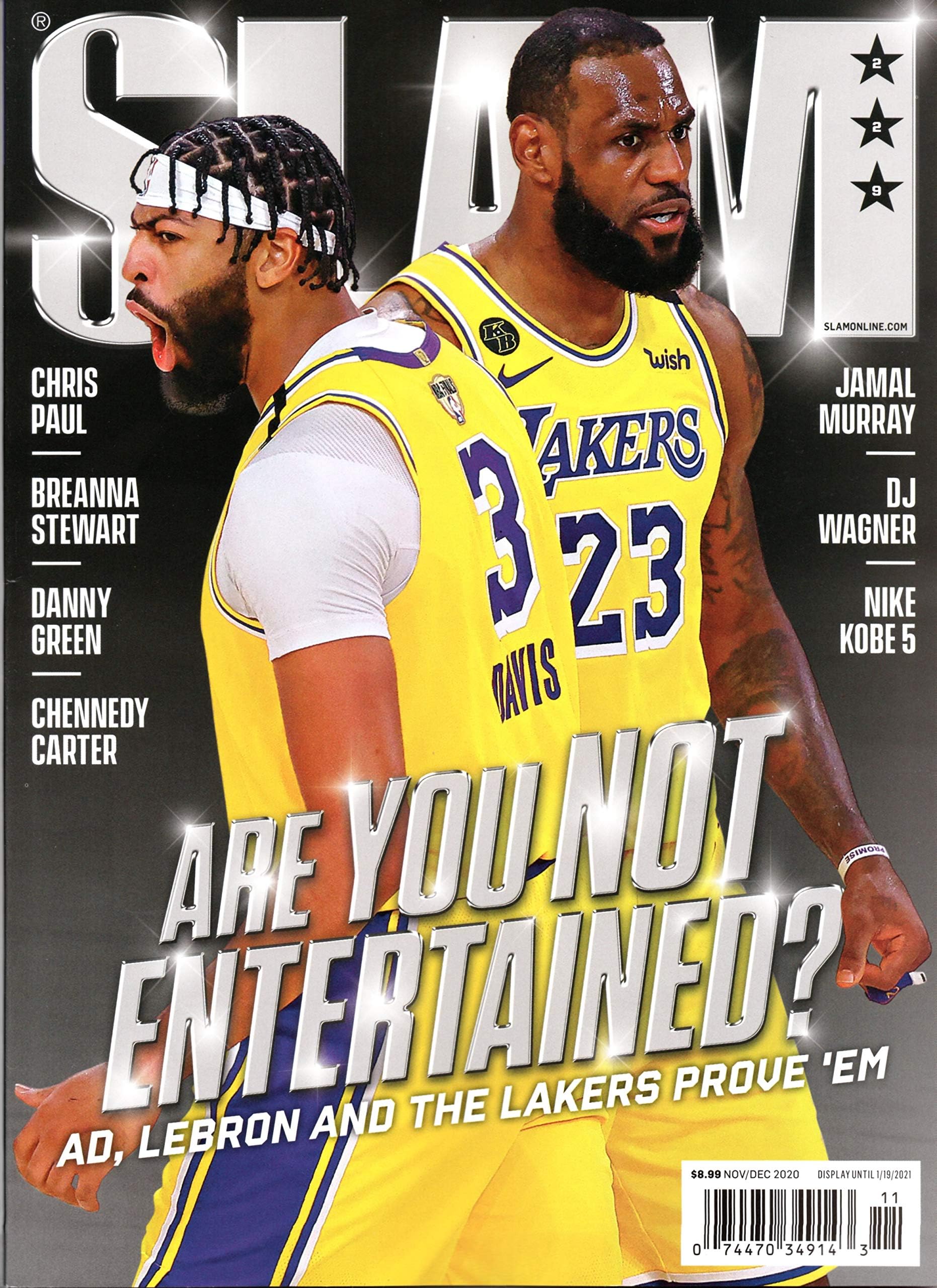 anthony davis and lebron james