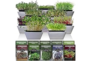 Survival Garden Seeds Microgreens 10 Pack