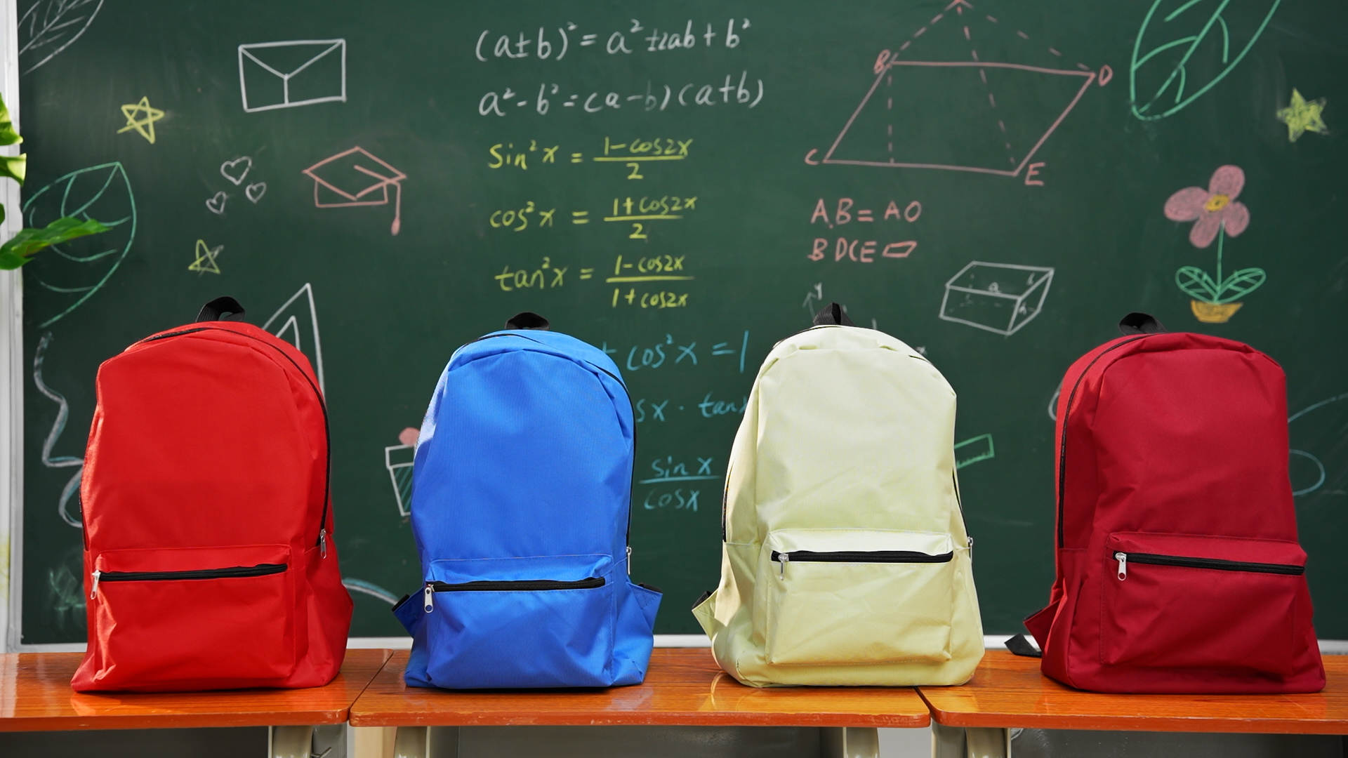Amylove 12-Pack Bulk Backpacks - 17 Inch Lightweight Student Bookbags, Classic Style For Boys & Girls