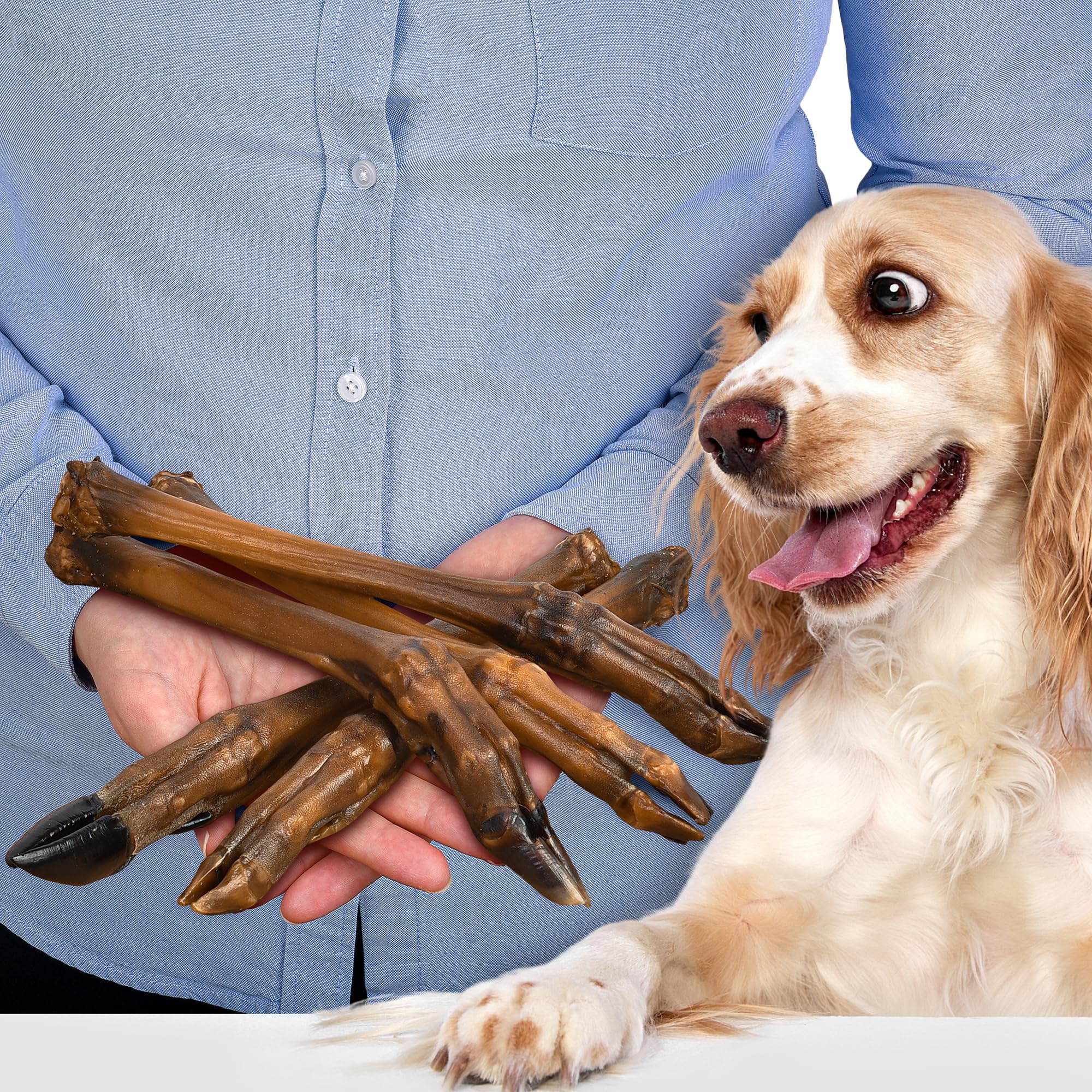 Deer Legs Dog Chews 5 Pieces | natural dried dog snacks without fur | hypoallergenic & high in protein | dental care | healthy chewing fun with no additives for small & large dogs