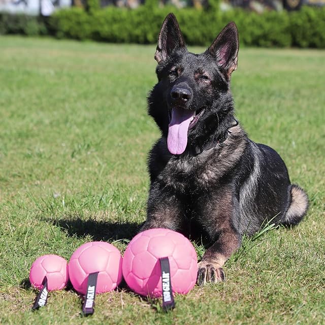 Foto 5 de 8 de Dingo Gear - Pelota llena con lazo de piel ecológica, diámetro de 8 cm, juguete para perros, entrenamiento…