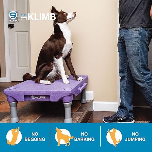 Miniatura 3 de Blue-9 Pet Products KLIMB - Plataforma de entrenamiento para perros y sistema de agilidad, duradero y portátil para uso en interiores o exteriores,
