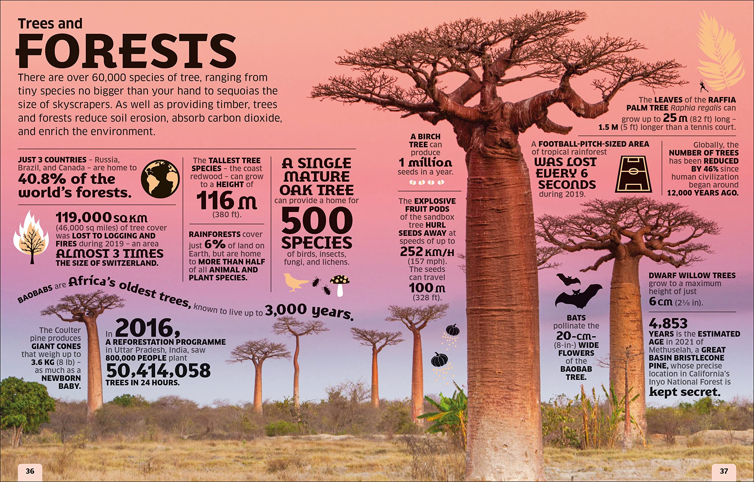 Our World in Numbers: An Encyclopedia of Fantastic Facts