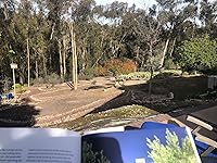 Review Image by Cindy Cindy