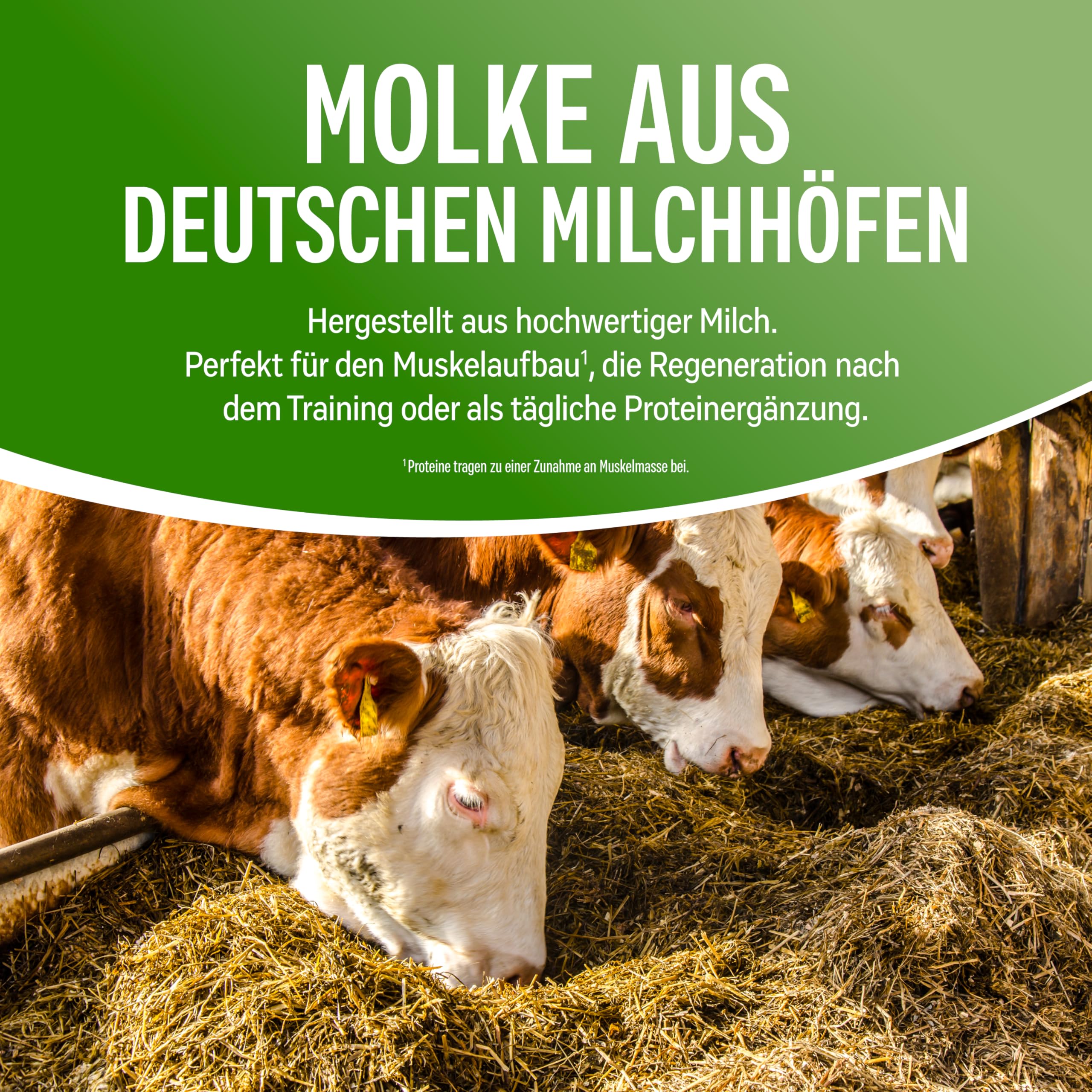 NATURELETICS NEUTRAL Whey Protein Ungesüßt ohne Süßstoffe und Zuckerzusatz Natürliches Premium Eiweißpulver, 1kg ohne Aspartam & Sucralose, Low Carb, Hoher BCAA-Anteil, Made in Germany
