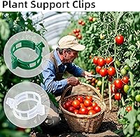 Vista 7 de 100 piezas de clips de soporte para plantas, clips de plástico para asegurar plantas, clips para vides de tomate, clips de fijación de plantas
