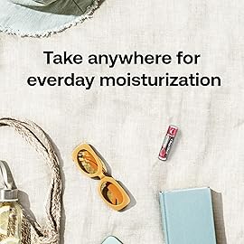 ChapStick Lip Moisturizer, Raspberry Sorbet, 12-Pack - Bulk Lip Balm, Luscious & Sweet, 0.15 Oz Ea