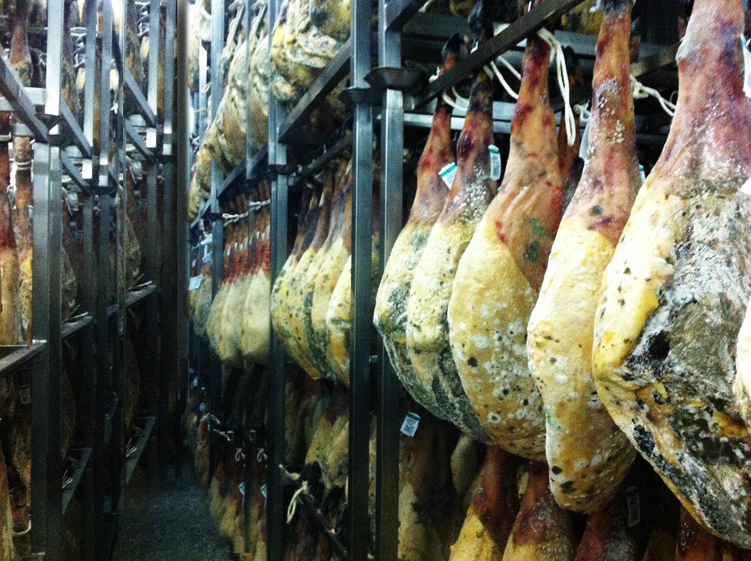 CERROALTO | Paleta de Cebo Ibérica 50% Raza Ibérica | 10 Sobres de 100 gr Loncheado en medias lonchas de fácil separación