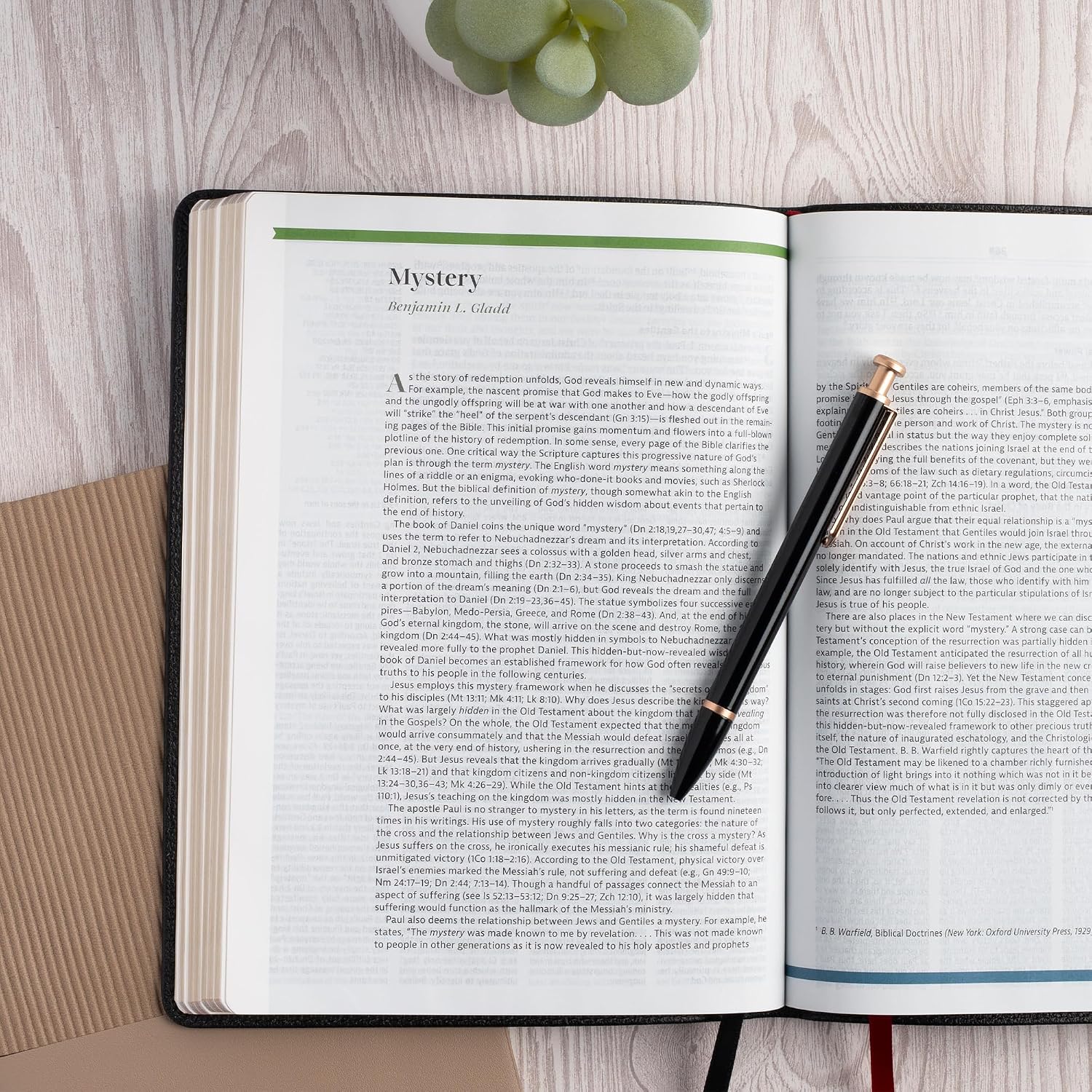 CSB Connecting Scripture New Testament, Black Genuine Leather, Black Letter, Single-Column, Expanded Cross-Reference System, Color-Coded Text, Book Introductions, Study Notes, Articles, Charts