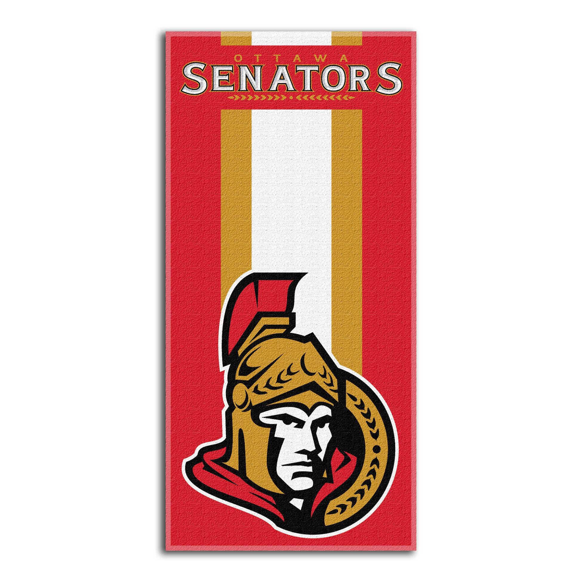 NHL Zone Read Beach Towel, 30-inches x 60-inches