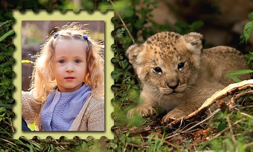 Animais bonitos Photo Frames