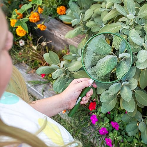 Miniatura 4 de Carson Lupa BigEye con lente de gran tamaño de 5 pulgadas (HU-20)