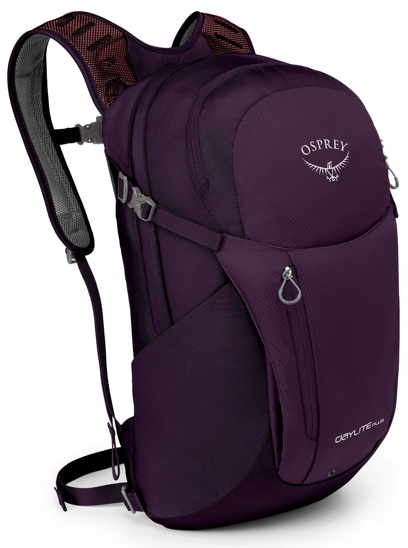 osprey day pack