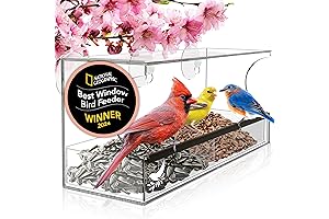 Window Bird Feeder for Seniors and Nature Lovers: A Unique and Practical...