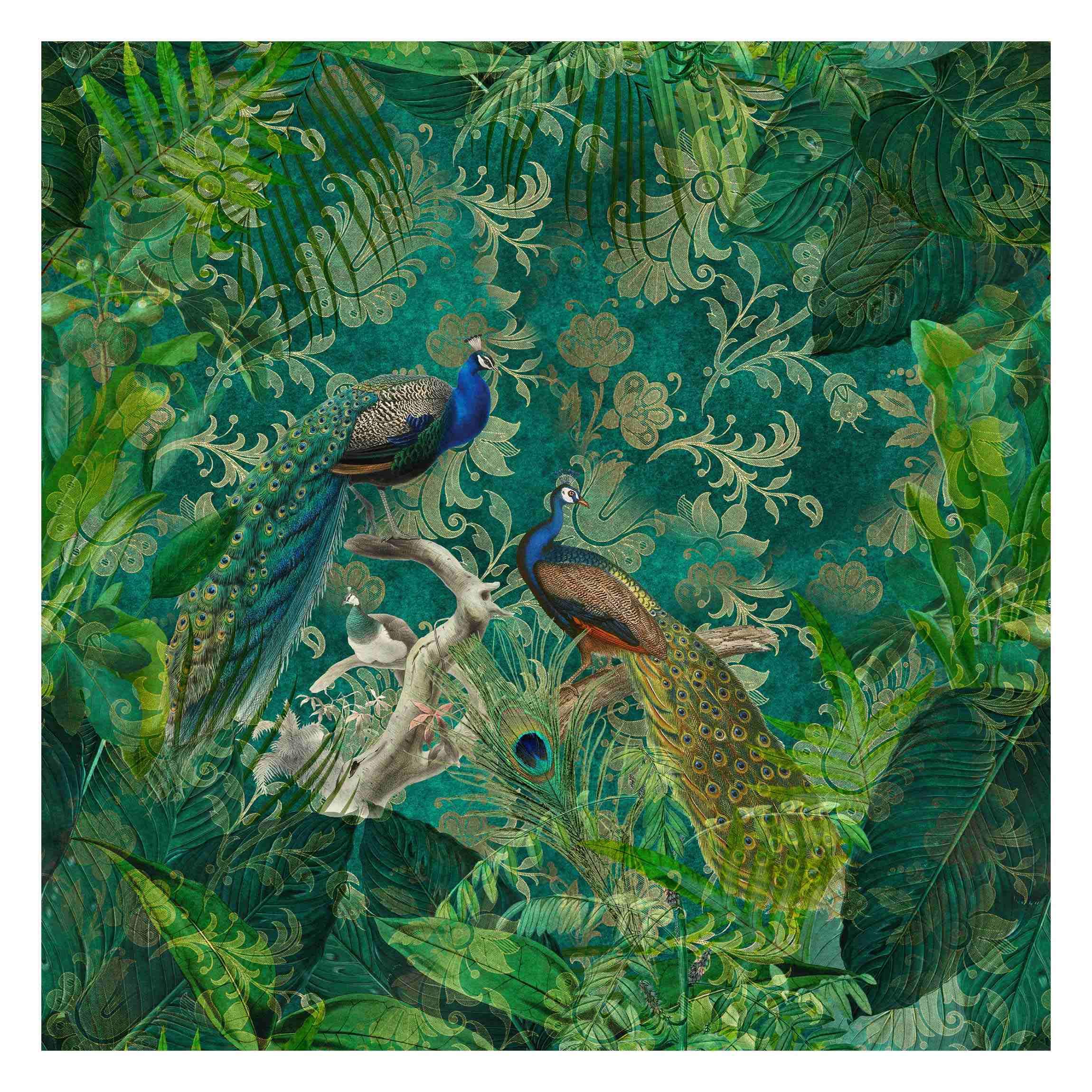 Fototapete Premium Shabby Chic Collage Edler Pfau II Wandtapete 240 x 240cm
