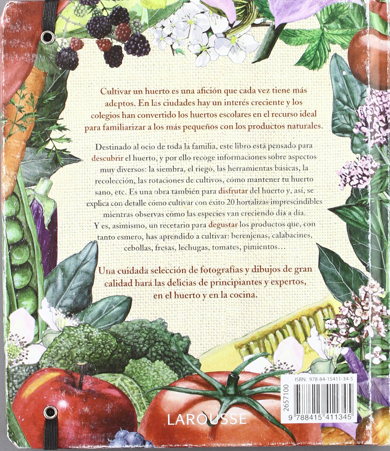 El Huerto. Descubrir, disfrutar y degustar (Larousse - Libros Ilustrados/ Prácticos - Ocio Y Naturaleza - Jardinería)