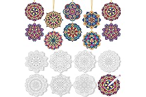 Life of Colour Mandala Painting Kit: Unleash Your Inner Artistry