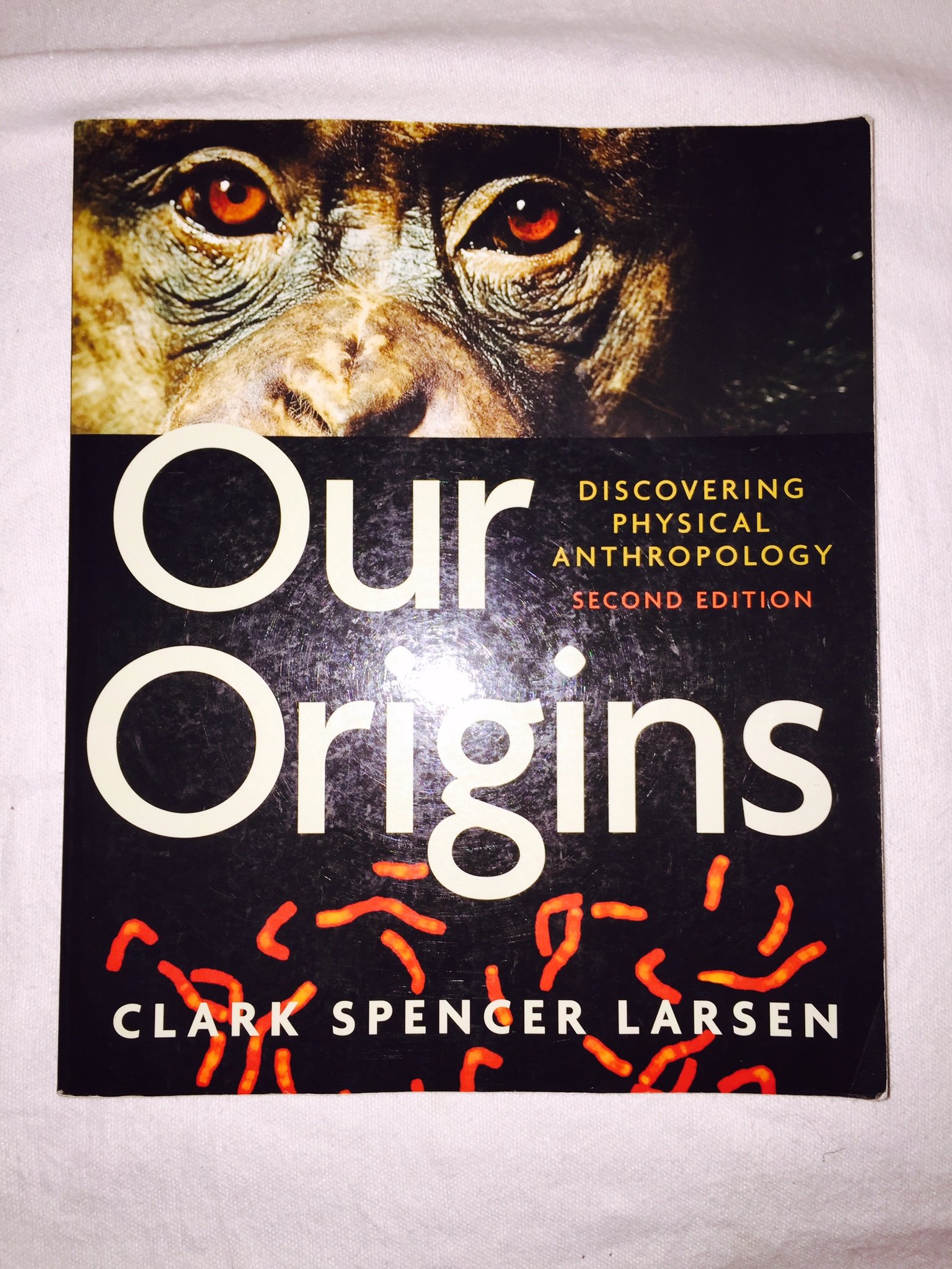 Our Origins: Discovering Physical Anthropology (Second Edition) 2nd Edition
