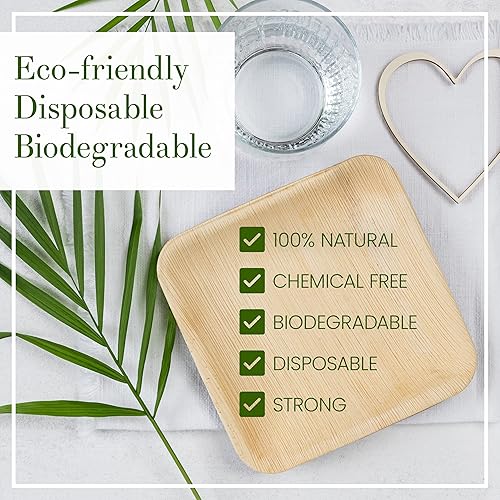 Miniatura 7 de Platos de hoja de palma  Paquete de 50 unidades, cuadrados de 10 pulgadas, compostables, biodegradables, bambú alternativo, resistentes, aptos para