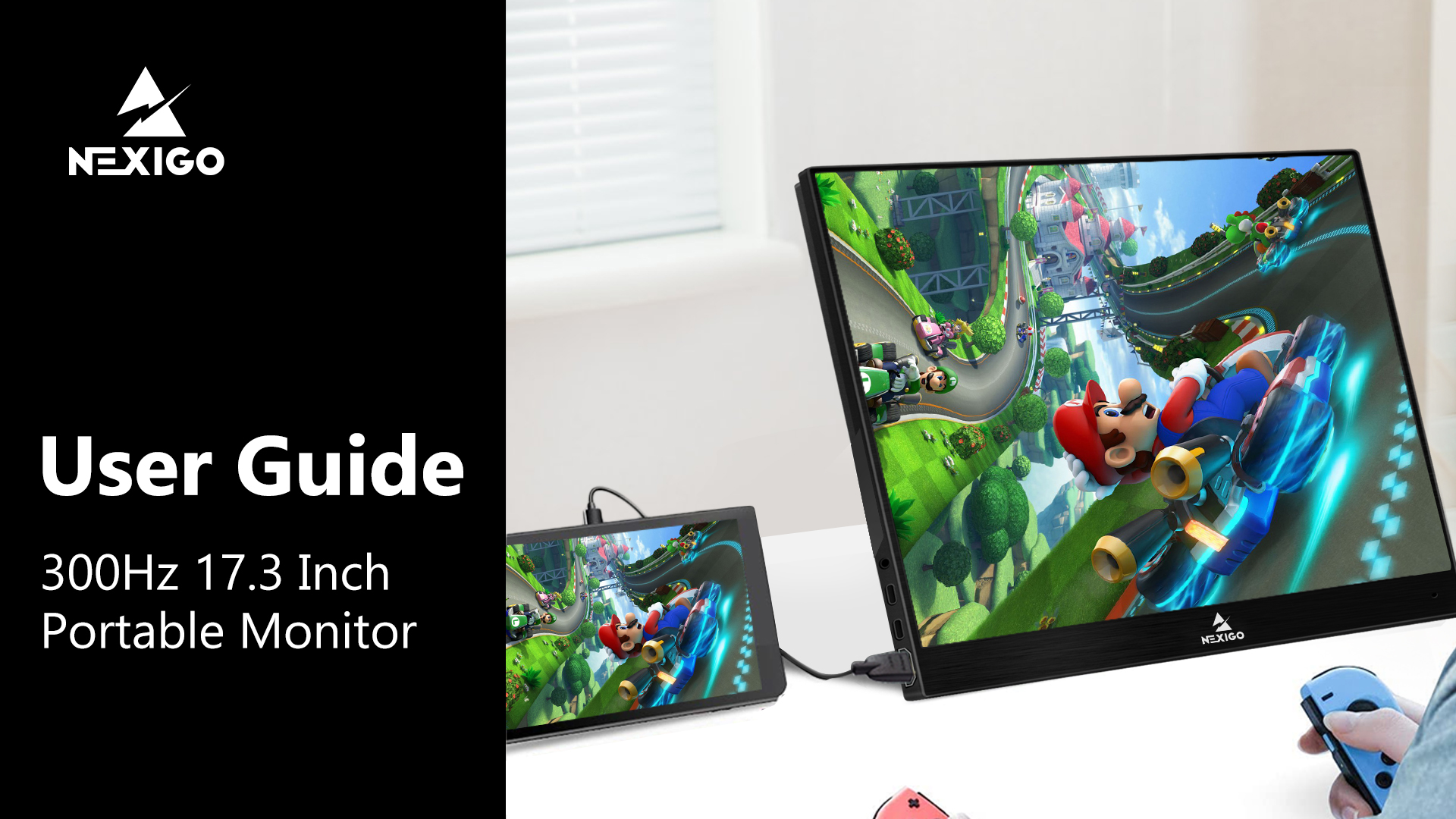 Amazon.com: NexiGo 300Hz 17.3 Inch Portable Monitor (NG17FGQ-S