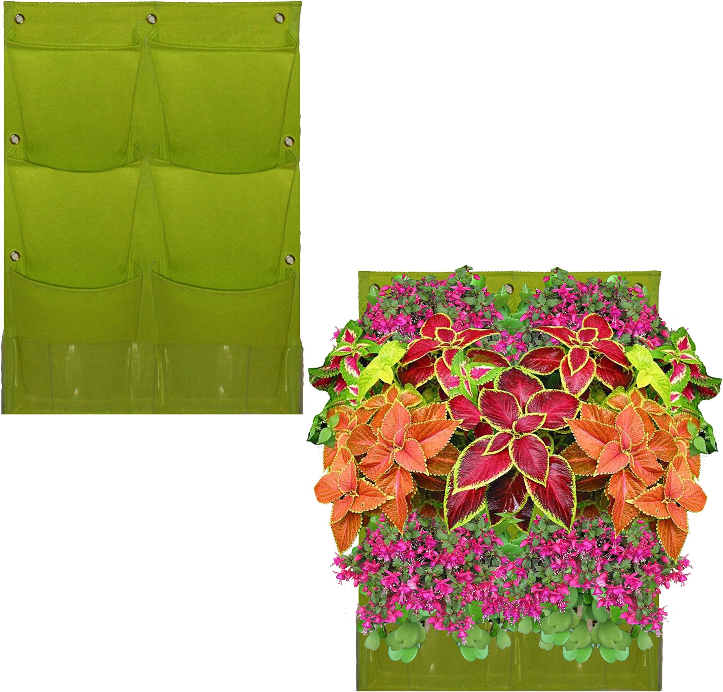 6 Pocket Vertical Garden Planter – Living Wall Planter – Vertical Planters – for Outdoor & Indoor Herb, Vegetable, Flower Gardens