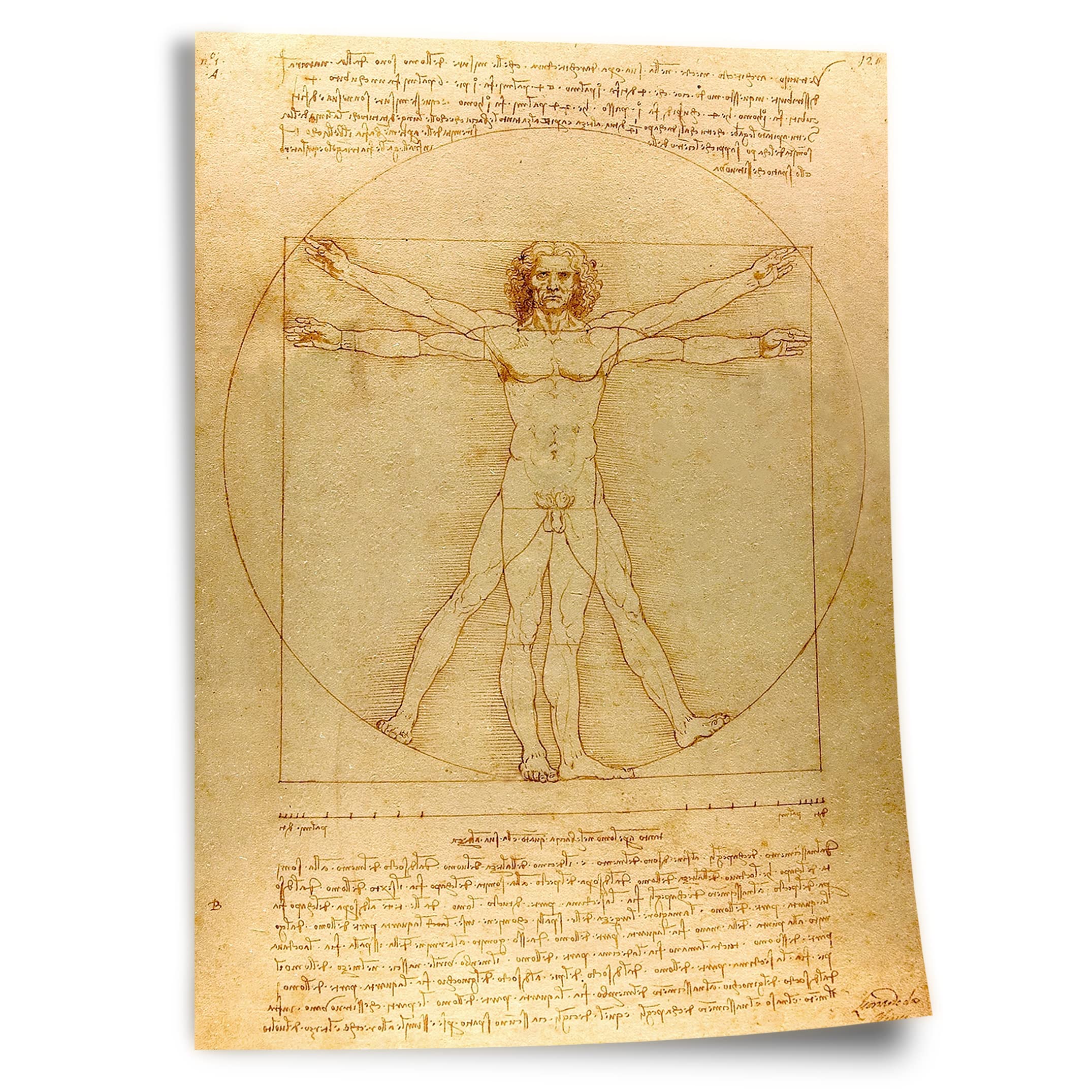 Printistico Poster Leonardo da Vinci - Vitruvianischer Mensch Kunstdruck ohne Rahmen, Wandbild - A4, A3, A2, A1, A0, XXL - Wohnzimmer, Schlafzimmer, Küche, Deko